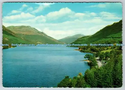 D332254 Argyll. Loch Eck. Valentinstag. Schottische Bildserie