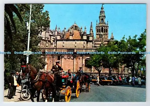 D335034 Sevilla. Catedral y Giralda. Ro Foto. Otto Reuss