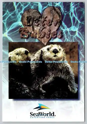 D329608 Seaworld Abenteuerparks. Otter Babys. Die verspielten Seeotter sind immer