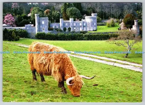 D327068 Caerhays Castle Gardens. Gorran. St Austell. Cornwall. Twinkle Carter. P
