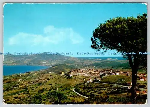 D327072 Insel Elba. Capoliveri. Gesamtansicht. Venturini. Siena. Stich. Grafico. Ce