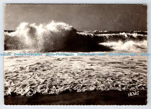 D335058 Visages des Landes. Cote d Argent Landaise Vagues. Vignes. S.P.A.D.E