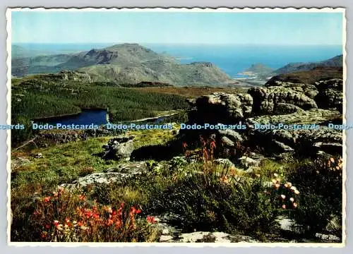 D327095 Tafelberg. Richtung Süden. Kapstadt. Südafrika. Arthur Engli