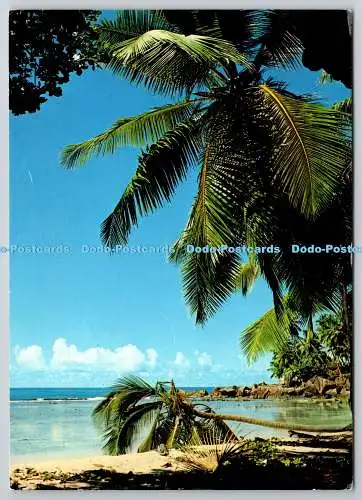 D329652 Seychellen. Mahe mit Strandblick. Peter Erbe. Eden. Vontobel Druck. Bedruckt i
