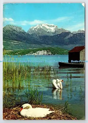 D335082 Lac d Annecy. La Tournette. G. Rossat. 1977