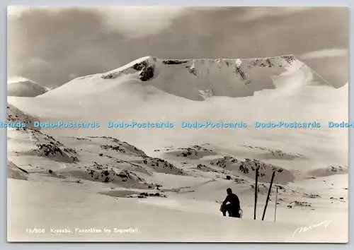 D332323 Krossbu. Fanaraken Fra Sognefjell. Normann