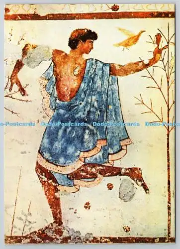 D329674 Tarquinia. Tomba del Triclinio. Pittura Etrusca. Danzatore. I.F.I. Tanne