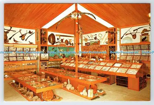 D335118 Neuseeland. Houhora. Wagener Museum. Innenraum des Museums. Fotocenter