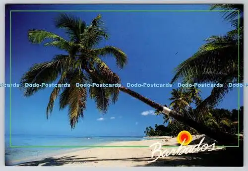 D327135 Barbados. East Coast Baech. Don Jordan. Ideas Inc. Multi Media Productio