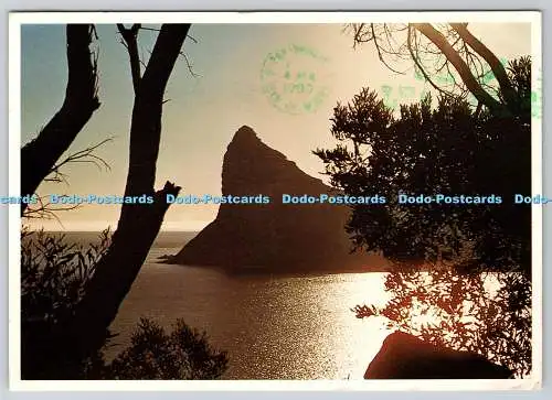 D327199 The Sentinel. Hout Bay. Kapstadt. Südafrika. Aneline. Protea Farbe