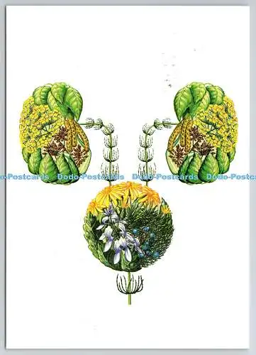 D329760 Solubitrat von Heumann. Serie Medizin aus Krautern. Stempel zeigen in Be