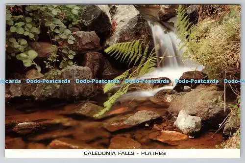 D327217 Caledonia Falls. Platten. Themis Christodoulou Ltd. Nikosia. Zypern