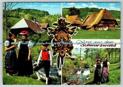 D327219 Schwarzwald. Krüger. Multi View