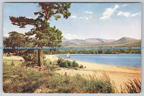 D332432 Inverness Shire. Segeln auf Loch Morlich. Valentinstag. Scots Pictorial Ser