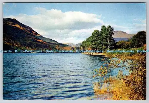 D332435 Schottland. Argyll. Loch Eck. J. Arthur Dixon. Inverness. Alex. H. Hamilto