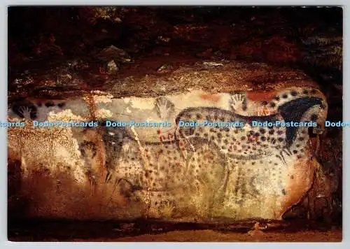 D327226 Frankreich. Grotte Prehistorique de Pech Merle. Cabrerets. Castelet. Boulogn