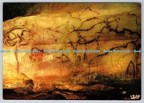 D327227 Frankreich. Quercy. Grottes de Pech Merle. Chapelle des Mammouths. Editionen