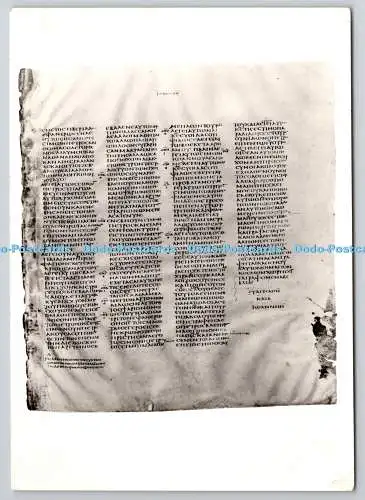 D329791 British Museum. Codex Sinaiticus. Griechische Bibel. Pergament. A. V. Fry. London
