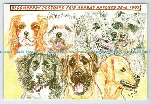 D335225 Bloomsbury Postkarte Messe Sonntag. Hunde. Gedankenfabrik. Leicester. IPM.
