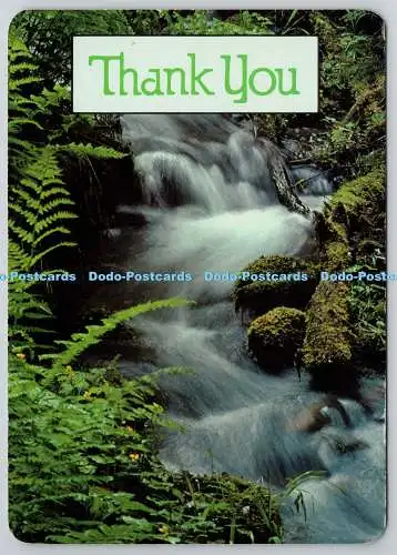 D329832 Waterfall Creek Stream. Vielen Dank. Morgenstern 1982. Minneapolis. Das U