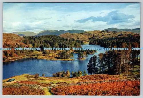 D327281 Tarn Hows. Lancashire. Zwischen Hawkshead und Coniston. J. Arthur Dixon L