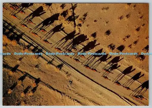 D332501 Iran. Wohnwagen in der Provinz Kerman. ACME Karten. Georg Gerster. 1985