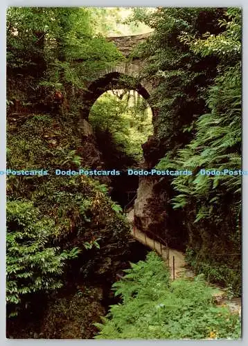 D329840 Devon. Lydford Gorge. Ravine Road Bridge. National Trust. DRG. J. Arthur