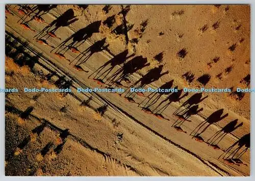D332502 Iran. Wohnwagen in der Provinz Kerman. ACME Karten. Georg Gerster. 1985