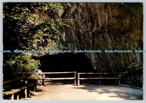 D332503 Bad Grund. Iberger Tropfsteinhohle. Cramers Kunstanstalt