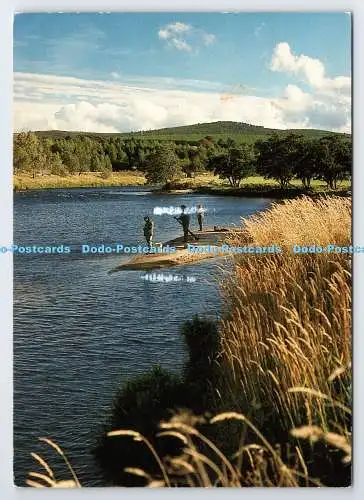 D335275 Angeln am Fluss Spey. Phil Banks
