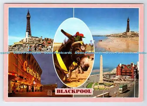 D335289 Blackpool. Esel. John Hinde. Multi View