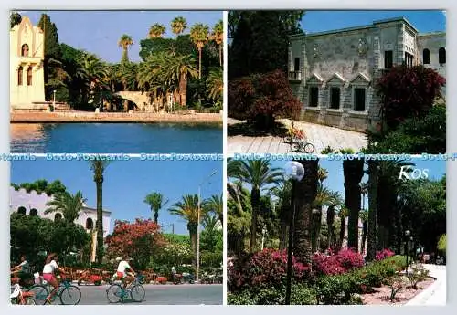 D335297 Kos. Griechenland. Ameise. Alexandris