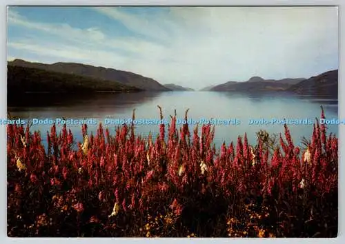 D332569 Auenland Inverness. Fingerhandschuhe am Loch Ness. J. Arthur Dixon Ltd