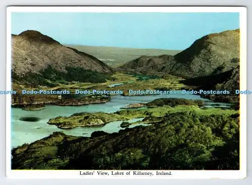 D335340 Irland. Ladies View. Seen von Killarney. Druckereien Killarney. MacM