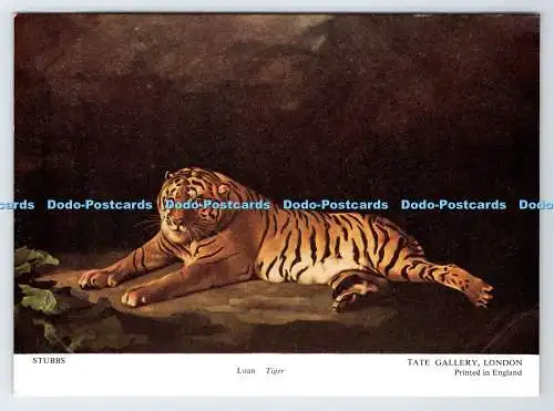 D335344 London. Tate Gallery. Leihtiger. Stubbs