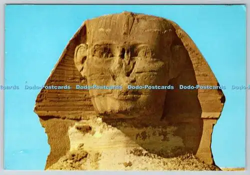 D332584 Gizeh. Der Kopf der berühmten Sphinx