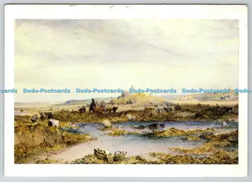 D332588 Gathering Vraic in Fort Grey. Staaten Guernsey. Jarrold and Sons Ltd.