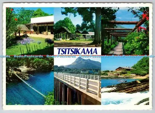 D327407 Tsitsikama. Cape Province. Kapstadt. Südafrika. Arthur English Print