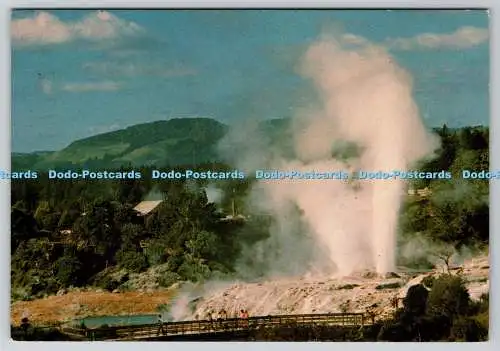 D327408 Rotorua. Neuseeland. Pohutu Geysir. Rotorua Printers Ltd