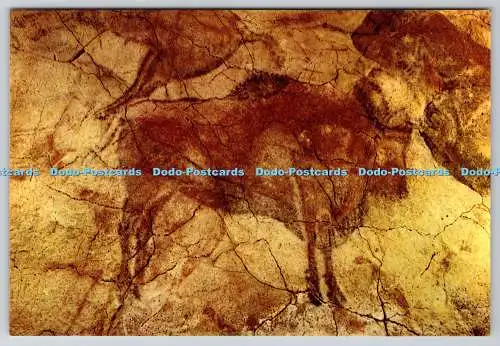 D332622 Cuevas de Altamira. Santillana del Mar. Bison. Joaquin Bedia S.A