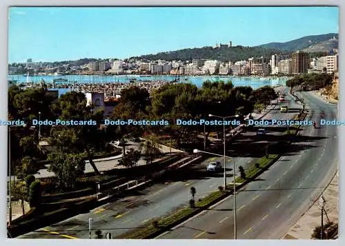 D327440 Palma de Mallorca. Paseo Maritimo. Flor de Almendro