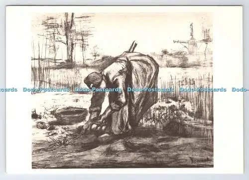 D335418 Frau gräbt Kartoffeln aus. Vincent Van Gogh. V. W. Van Gogh
