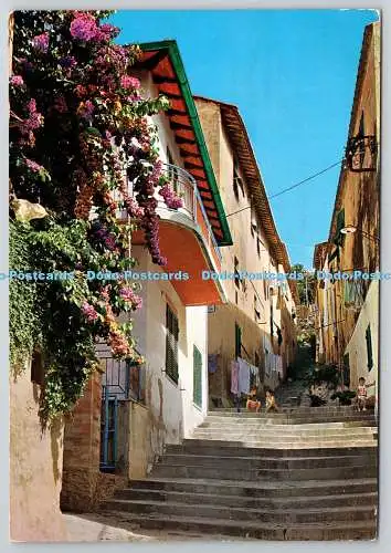 D330032 Isola d Elba. Porto Azzurro. Straße S. Martino. Essevuesse. Grapholito.