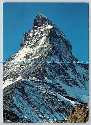 D330033 Zermatt. Matterhorn. Mt. Cervin. Hornlihütte und Belvedere. Klopfenstein