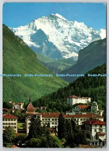 D330034 Interlaken. Jungfrau. H. Steinhauer. Suisse. N. 7302. Postkarte