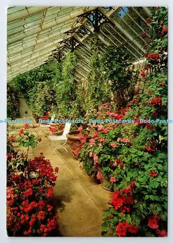 D335458 Der Wintergarten. Wallington Hall. Larkfield Printing. Landleben