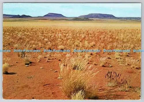 D332701 Namib. Munkelt