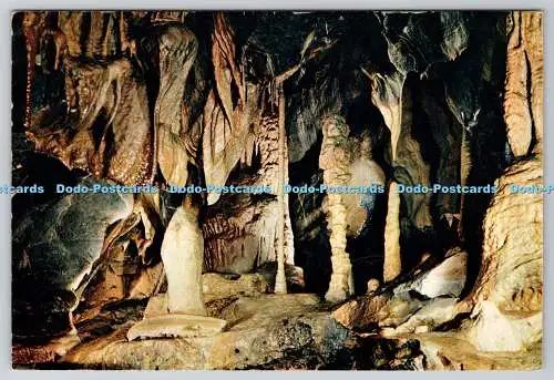 D327493 Die Heimat des Regenbogens. Cox s Cave. Cheddar. J. Arthur Dixon Ltd. Isle