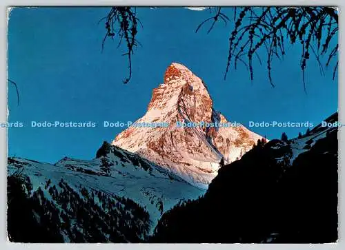 D332754 Zermatt. Sonnenaufgang am Matterhorn. Level du Soleil au Mont Cervin. Kl