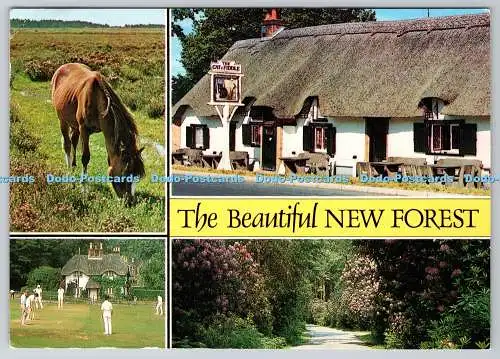 D327591 New Forest. Pony. Lyndhurst. J. Salmon Ltd. Sevenoaks. Kent. PM Bournemo